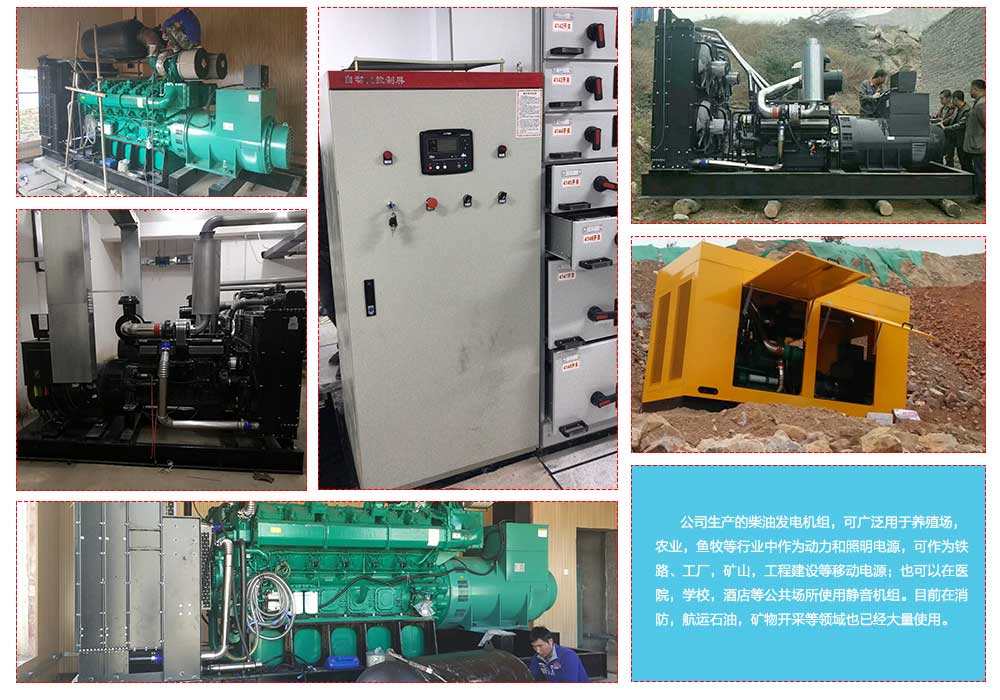        公司生產(chǎn)的柴油發(fā)電機(jī)組，可廣泛用于養(yǎng)殖場(chǎng)，農(nóng)業(yè)，魚牧等行業(yè)中作為動(dòng)力和照明電源，可作為鐵路、工廠，礦山，工程建設(shè)等移動(dòng)電源；也可以在醫(yī)院，學(xué)校，酒店等公共場(chǎng)所使用靜音機(jī)組。目前在消防，航運(yùn)石油，礦物開采等領(lǐng)域也已經(jīng)大量使用。